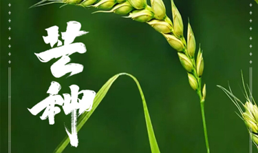 中国·5163银河手机版(股份)有限公司-官方网站